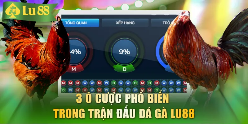 3 ô cược phổ biến trong trận đấu Đá Gà LU88